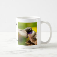Männliche schwarze Chin-Kolibri-Tasse