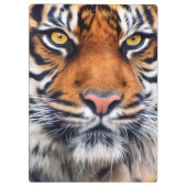 Männliche sibirischer Tiger-Farben-Fotografie Klemmbrett (Rückseite)