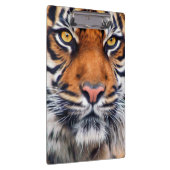 Männliche sibirischer Tiger-Farben-Fotografie Klemmbrett (Rechts)