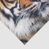 Männliche sibirischer Tiger-Farben-Fotografie Seidenpapier (Ausschnitt)