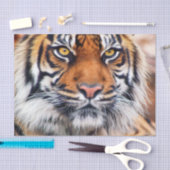 Männliche sibirischer Tiger-Farben-Fotografie Seidenpapier (Handwerk)