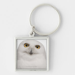 männliche Snowy-Eule (Bubo scandiacus) ist eine Schlüsselanhänger