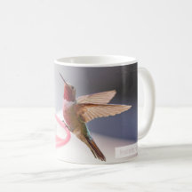 Männliche Stachelschwanz Hummingbird Psalm 145:5 K