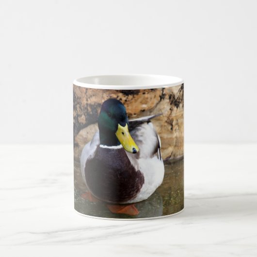 Männliche Stockenten-Ente Kaffeetasse (Mittel)