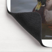 Männliche Stockenten-Ente Mousepad (Ecke)