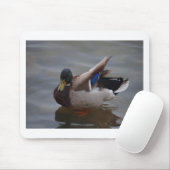 Männliche Stockenten-Ente Mousepad (Mit Mouse)