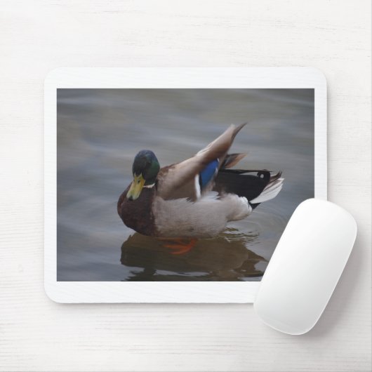 Männliche Stockenten-Ente Mousepad (Mit Mouse)