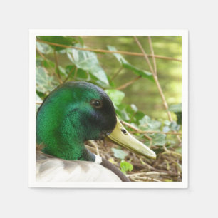 Männliche Stockenten-Enten-Serviette Serviette