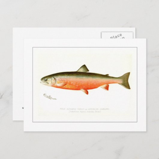 Männliche Sunapee Foreut Postkarte (Vorne/Hinten)