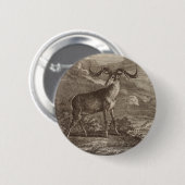 Männliche und junge Rotwild Button (Vorne & Hinten)