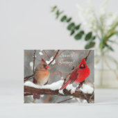 männliche und weibliche Kardinal Feiertagspostkarte (Stehend Vorderseite)