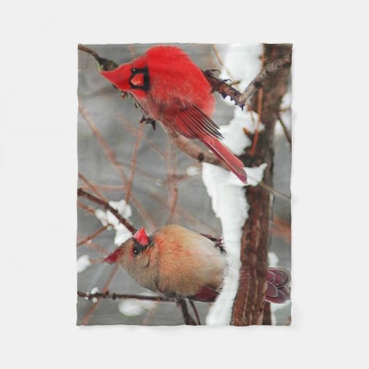 männliche und weibliche Kardinal Fleecedecke (Vorderseite)