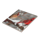 männliche und weibliche Kardinal Fliese (Seite)