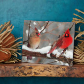 männliche und weibliche Kardinal Fotoplatte (Seite)