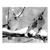 männliche und weibliche Kardinal Gummistempel (Prägung)