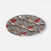 männliche und weibliche Kardinal Pappteller (Schrägansicht)