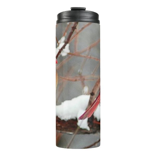 männliche und weibliche Kardinal Thermosbecher (Vorderseite)