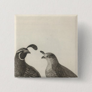 Männliche und weibliche Partridge von Kalifornien Button
