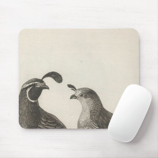 Männliche und weibliche Partridge von Kalifornien Mousepad (Mit Mouse)