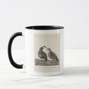 Männliche und weibliche Partridge von Kalifornien Tasse