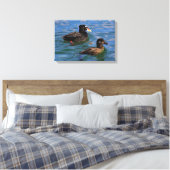 Männliche und weibliche Surf Scoter Enten am Pier Leinwanddruck (Insitu (Schlafzimmer))