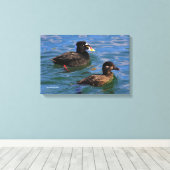 Männliche und weibliche Surf Scoter Enten am Pier Leinwanddruck (Insitu (Holzboden))