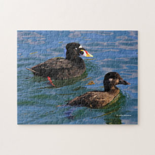 Männliche und weibliche Surf Scoter Enten am Pier Puzzle