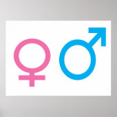 Männliche und weibliche Zeichen Poster (Vorne)