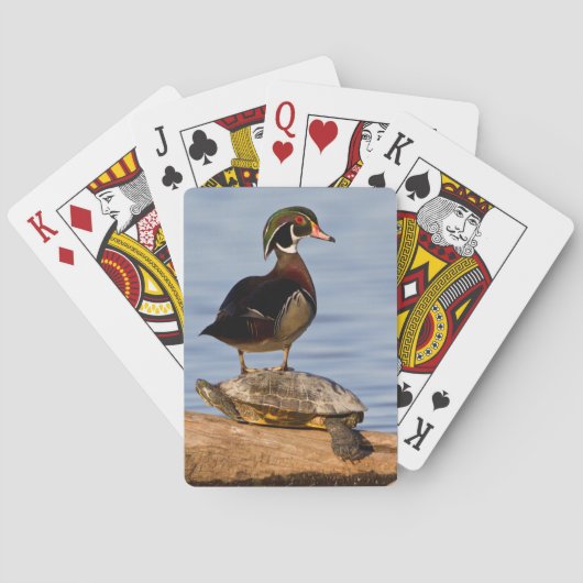 Männliche Waldschnatter auf Rotwangen-Schmuckschil Spielkarten (Rückseite)