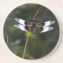Männliche Witwe Skimmer Dragonfly