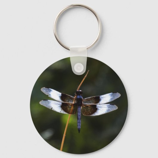 Männliche Witwe Skimmer Dragonfly Schlüsselanhänger (Vorderseite)