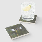 Männliche Witwe Skimmer Dragonfly Steinuntersetzer (Seitenansicht)