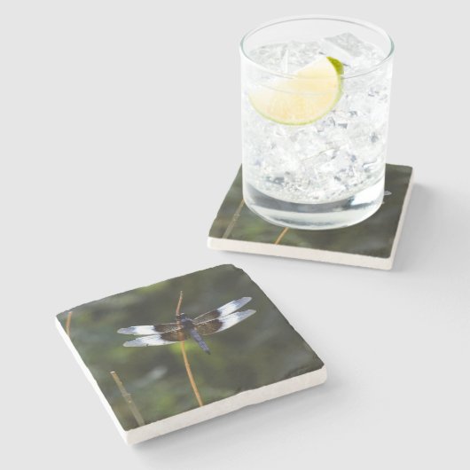 Männliche Witwe Skimmer Dragonfly Steinuntersetzer (Seitenansicht)