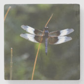 Männliche Witwe Skimmer Dragonfly Steinuntersetzer (Vorderseite)