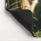 Männlicher afrikanischer Löwe im Zoo in Washington Mousepad (Ecke)