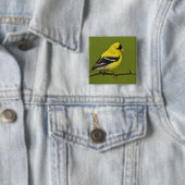 Männlicher amerikanischer Goldfinch in der Zucht s Button (Beispiel)