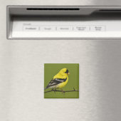 Männlicher amerikanischer Goldfinch in der Zucht s Magnet (In Situ (Geschirrspüler))