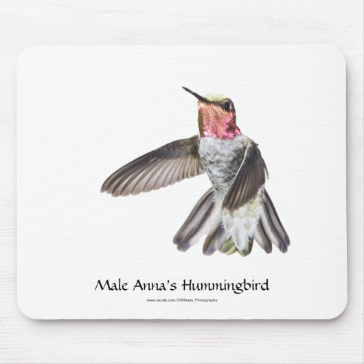 Männlicher Annas Kolibri Mousepad (Vorne)