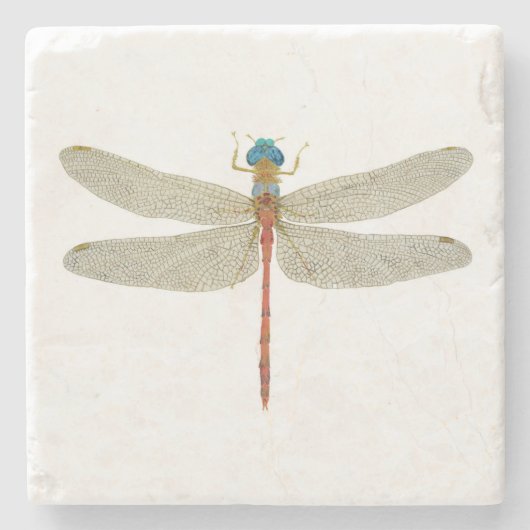 Männlicher Blau-Gesichtiger Meadowhawk Steinuntersetzer (Vorderseite)