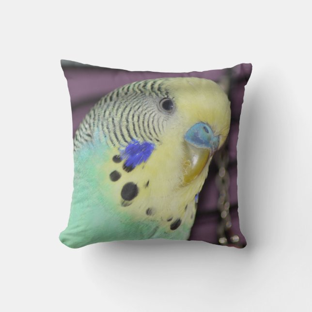 Männlicher Budgie/Parakeet Kissen (Vorderseite)