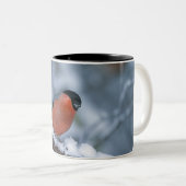 Männlicher Bullfinch in der Schnee-Tasse Zweifarbige Tasse (VorderseiteRechts)