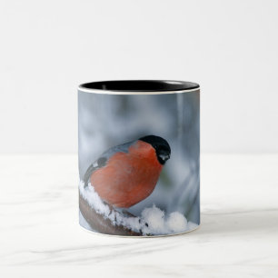 Männlicher Bullfinch in der Schnee-Tasse Zweifarbige Tasse