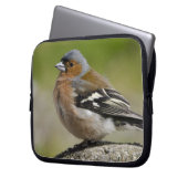 Männlicher Chaffinch (WILD: Fringilla coelebs) Laptopschutzhülle (Vorderseite Links)