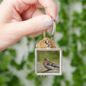 Männlicher Chaffinch (WILD: Fringilla coelebs) Schlüsselanhänger (Hand)
