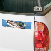 Männlicher Duck Autoaufkleber (Auf Lkw)
