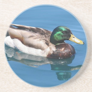 Männlicher Duck Untersetzer