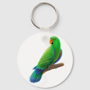 Männlicher Eclectus Schlüsselanhänger