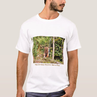 Männlicher Elch im Rocky Mountain Nationalpark, Co T-Shirt