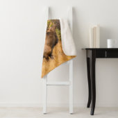 Männlicher Elch | Rocky Mountain National Park, Co Sherpadecke (Beispiel)