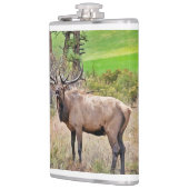 Männlicher Elk im Estes Park, Colorado im Septembe Flachmann (Links)